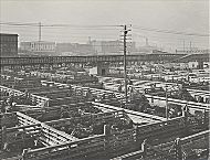 meat packing industry early 1900s